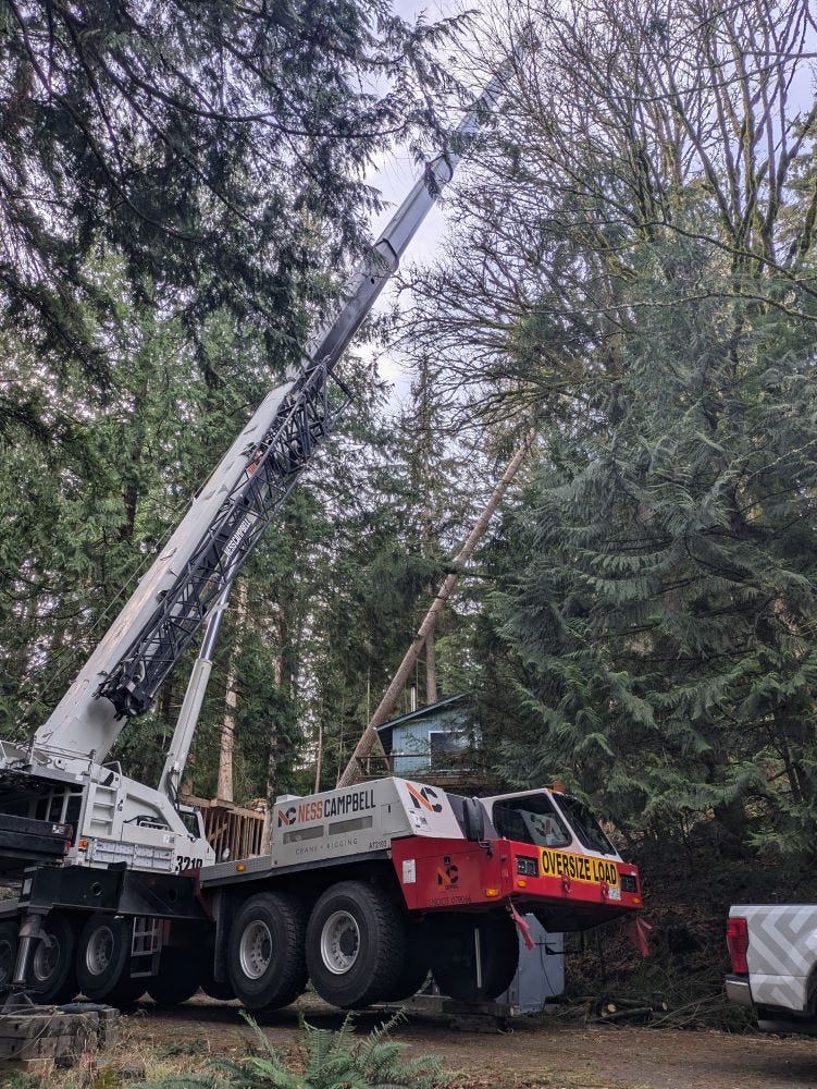 a huge crane positioned with the long arm parallel to a leaning tree, inches from a house's roofline