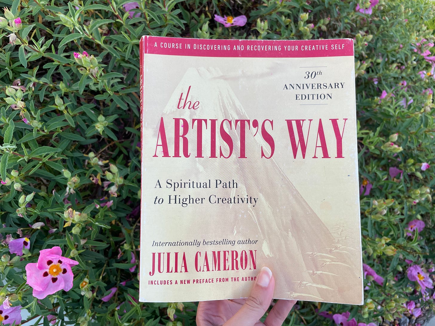 A copy of Julia Cameron’s book, The Artist’s Way, which has a light yellow cover with black and red text. The book is held up in front of a bush that has pink flowers blossoming from it.