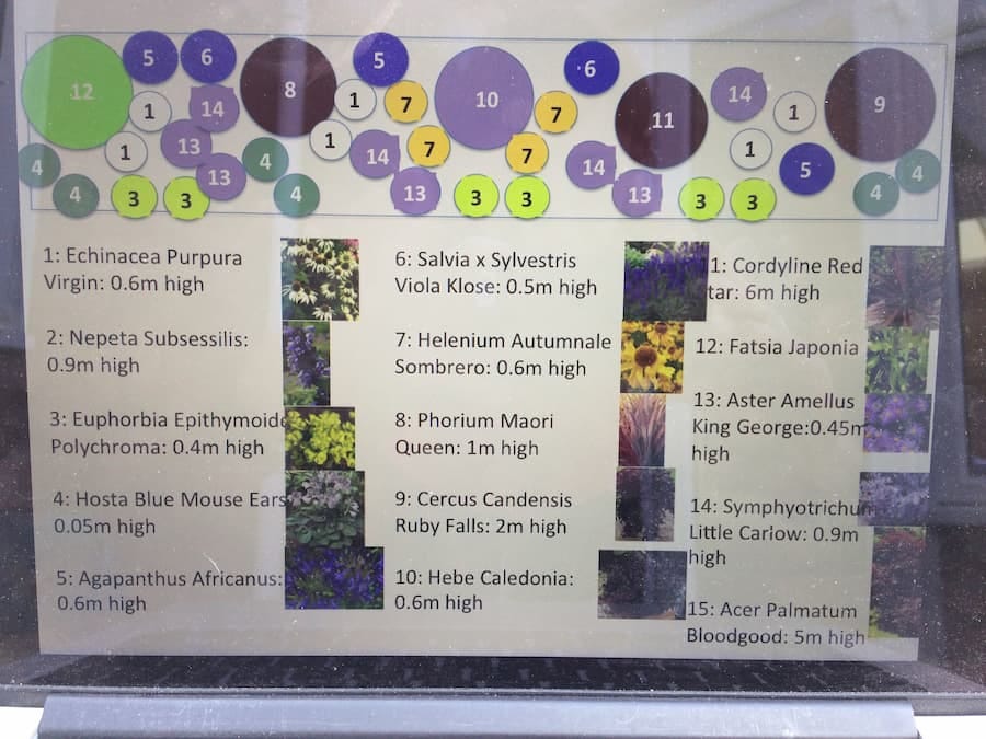 plant planner created listing plants for each border