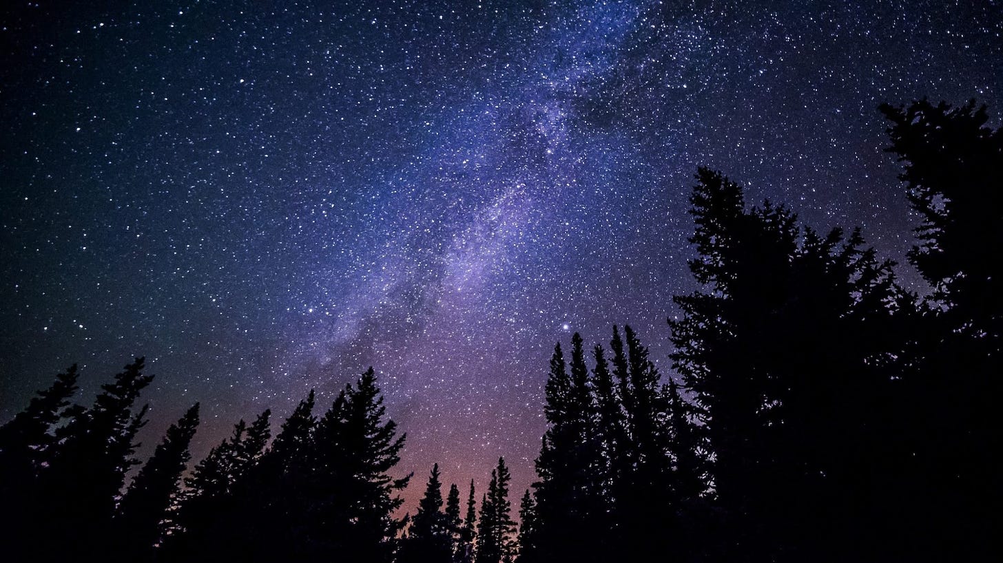 Photo looking upward at starry night sky surrounded by conifers.