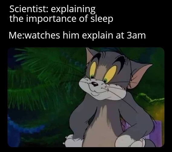 Sleep is important : r/memes