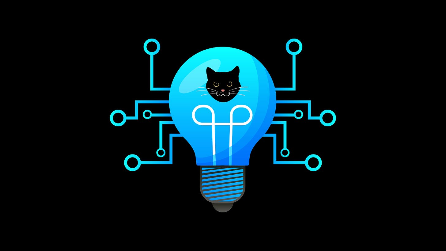 Image of light bulb and cat face