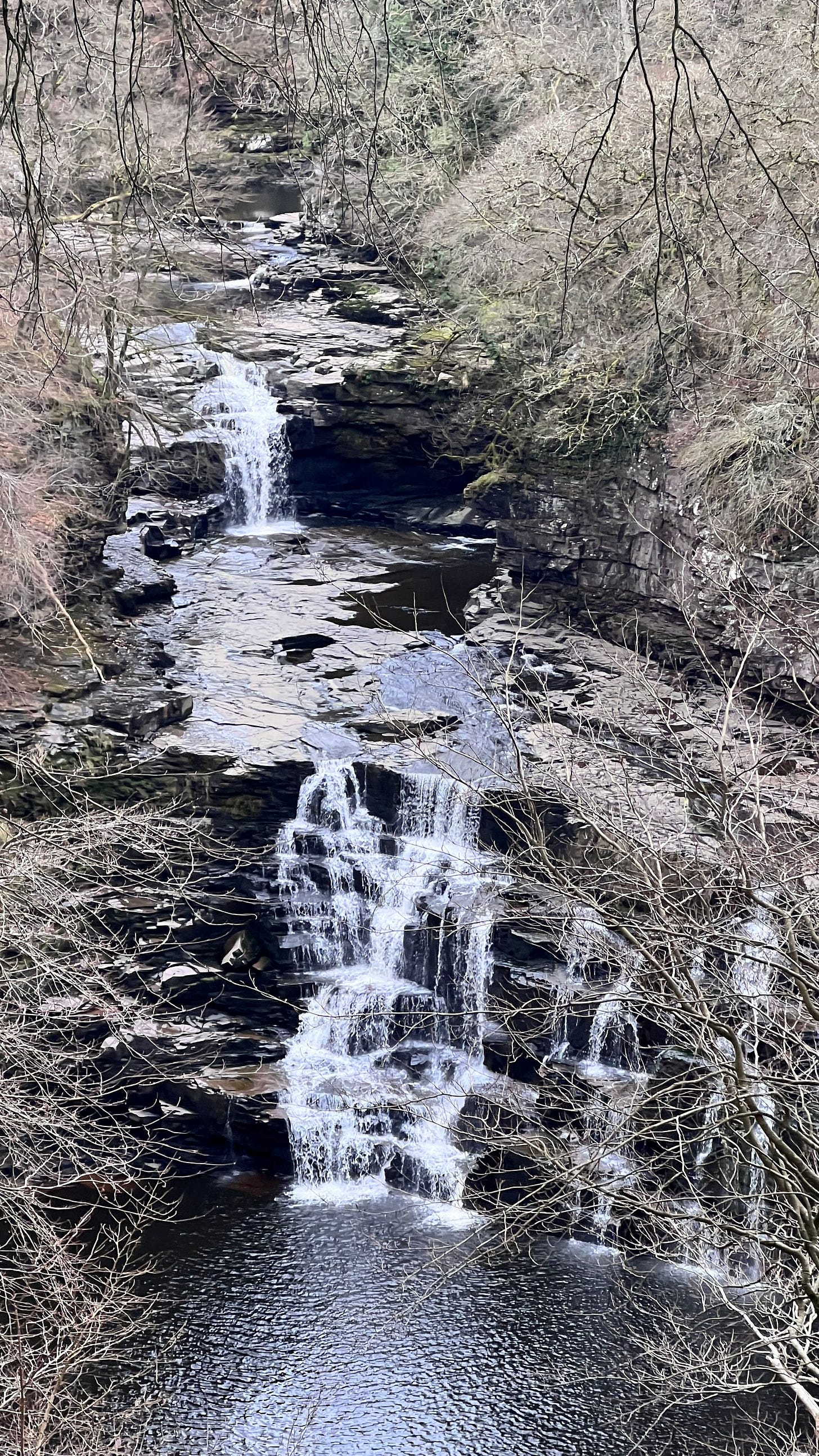 The Falls of Clyde are made up of a series of falls, all magnificent, stuning and vety accessible