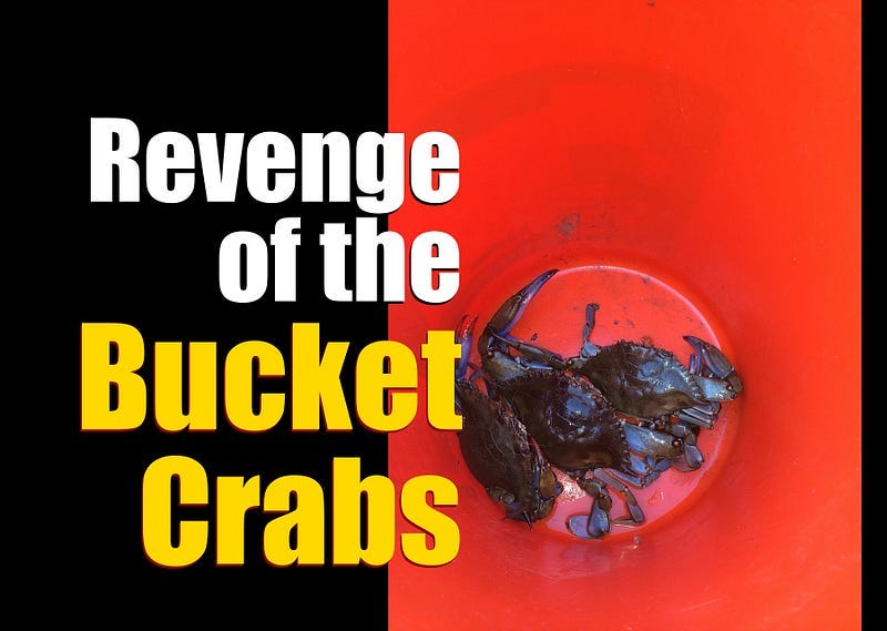 Revenge of the Bucket Crabs: Who is Holding Your Success Back?