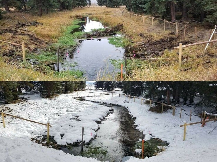 Before (above) and after (below) stream restoration.