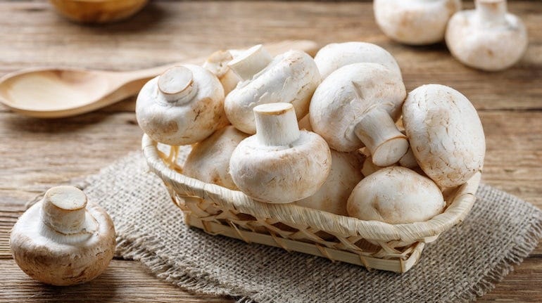 Mushrooms, like lion’s mane, contain compounds that support brain health by promoting the growth of new brain cells and improving nerve function. (Image: Canva)
