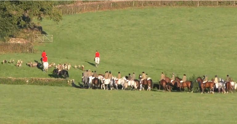 Blackmore and Sparkford Vale Hunts foxes during Covid pandemic