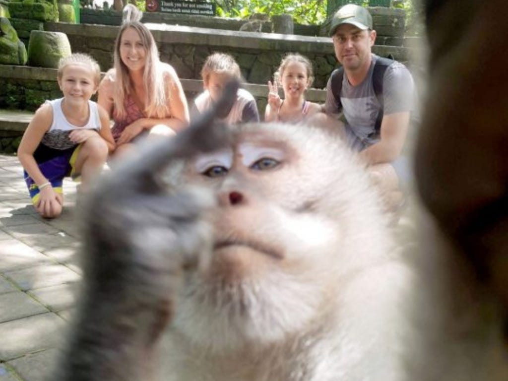 Macaco rouba câmera de família em Bali e faz selfie épica - Go Outside