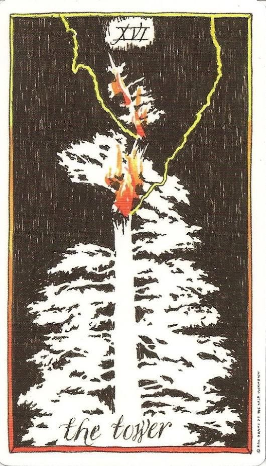 The Tower - Wild Unknown Tarot | Таро, Колоды карт таро, Дикие