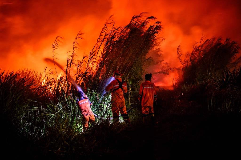 Firefighters attempt to control a peatland blaze in South Sumatra, 2023. Source: AP News