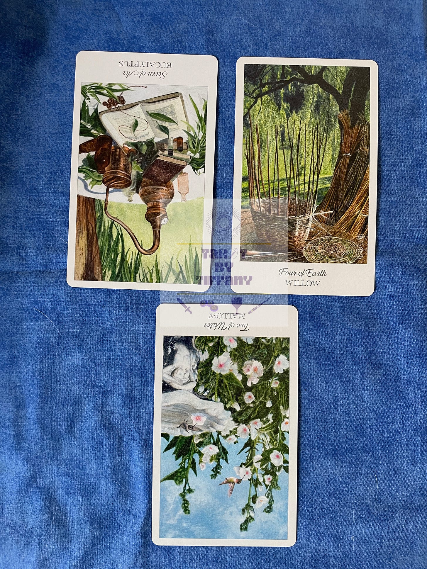 3-card reading with the Herbcrafter’s Tarot. The cards are laid out on a cobalt blue cloth background. Top two cards (L-R): 7 of Air - Eucalyptus (reversed), 4 of Earth - Willow. Bottom card: 2 of Water- Mallow (reversed).