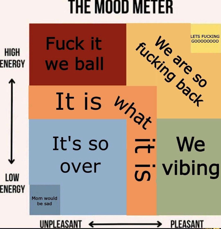 The Mood Meter, spanning the X axis from “Unpleasant” to “Pleasant” and the Y axis from “High energy” to “Low energy.” Zones include: Fuck it we ball, We are so fucking back, Let’s fucking goooooooo, It is what it is, We vibing, It’s so over, and Mom would be sad” 