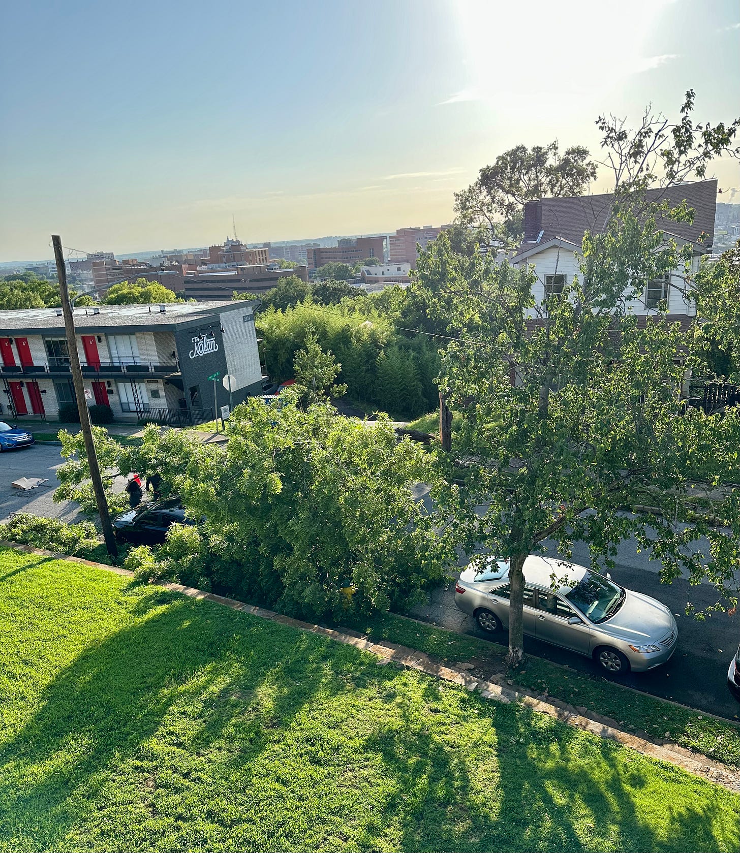 A tree down in a street in the foreground with a city view in the distance A tree down in a street in the foreground with a city view in the distance