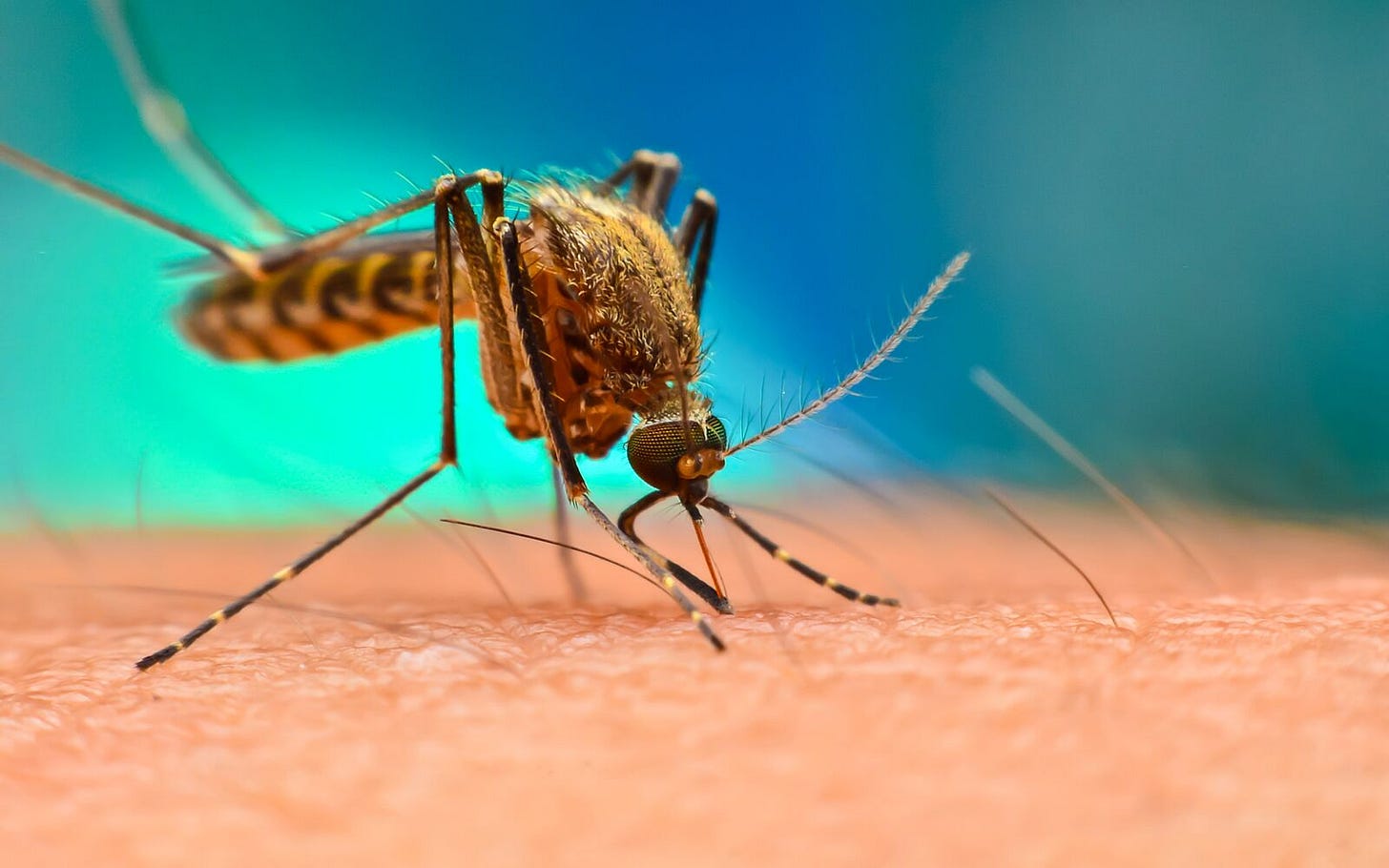 Frontiers in Tropical Diseases