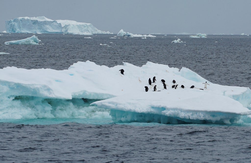 Penguins are seen on an iceberg