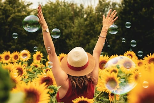 Free Woman Surrounded By Sunflowers Stock Photo