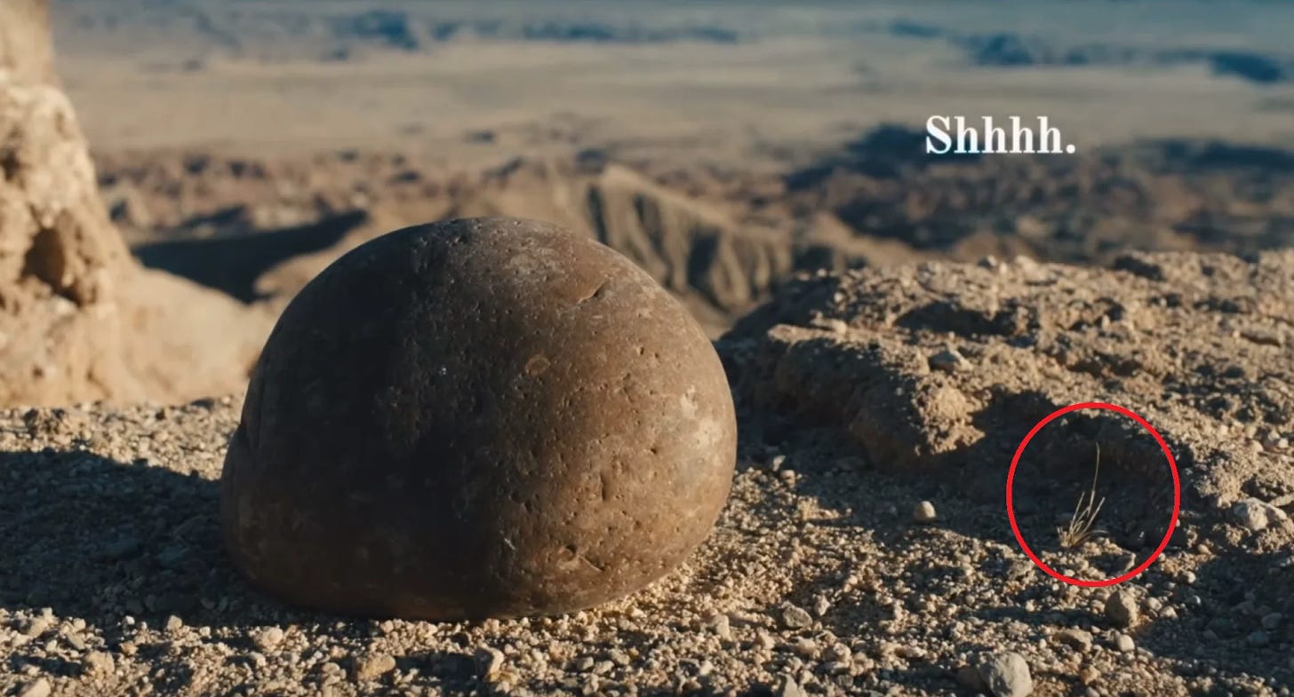 large mound of a rock sits on sediment before a greyish brown mountain. beside it is a sprig of brown grass with the caption above it that reads "shhh."