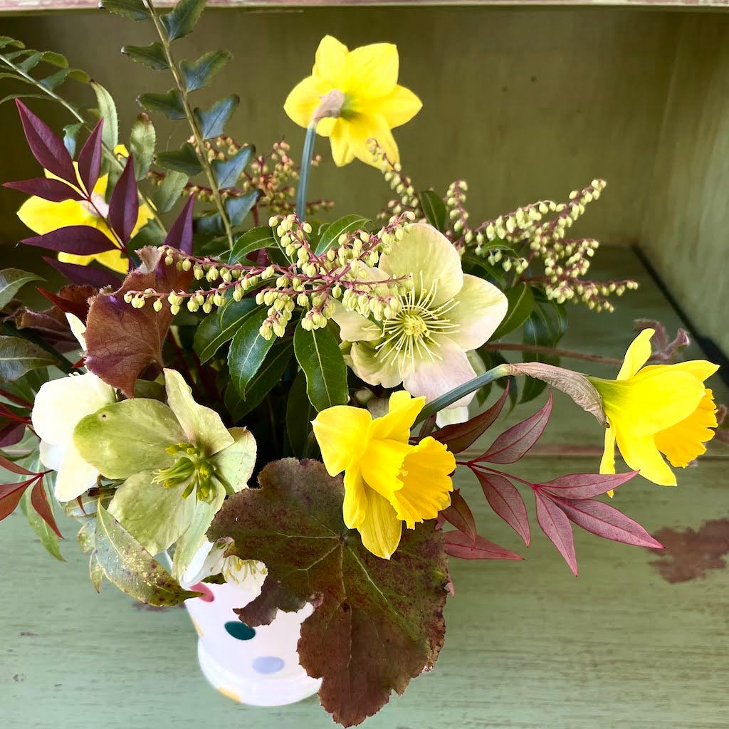 Early spring arrangement with hellebores and daffodils, Sixburnersue