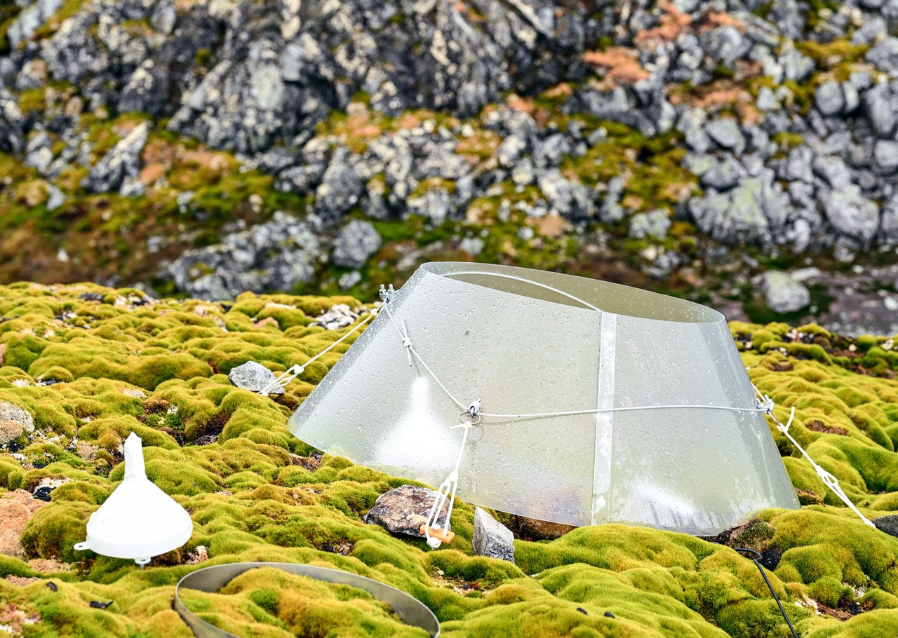 A dome with a wide opening at the top is attached to a flat rocky area covered in moss. The dome is made of a thin, semi-transparent material and is covered in droplets of condensation.