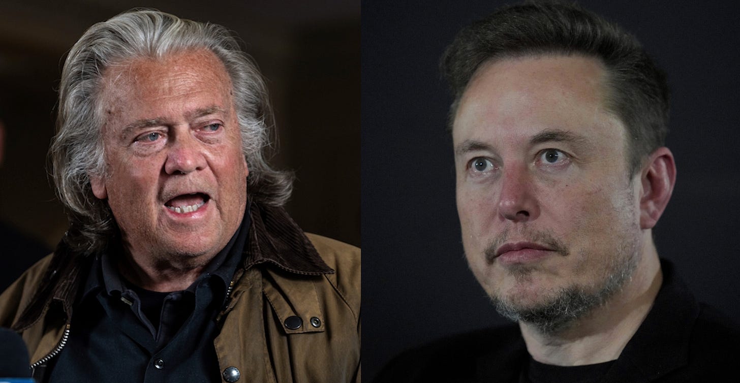 Steve Bannon and Elon Musk