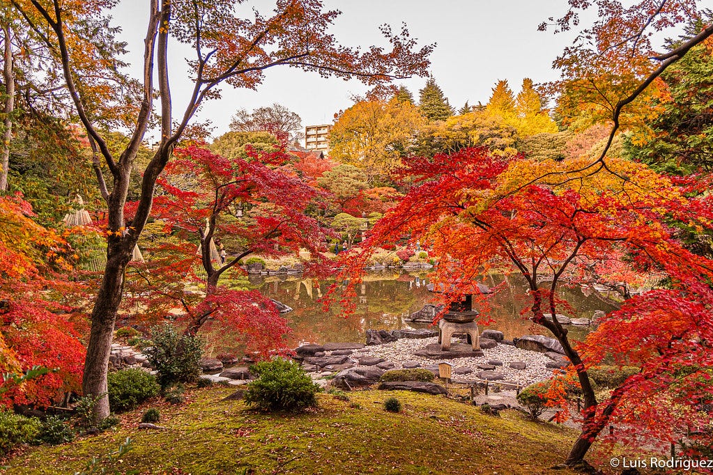 Los jardines Kyu-Furukawa