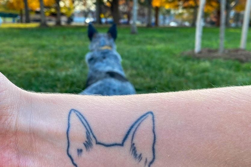 In the foreground, I hold up the inside of my right wrist to show a dog ear tattoo. In the background, Scout lies facing away from me so that her ears match the tattoo design