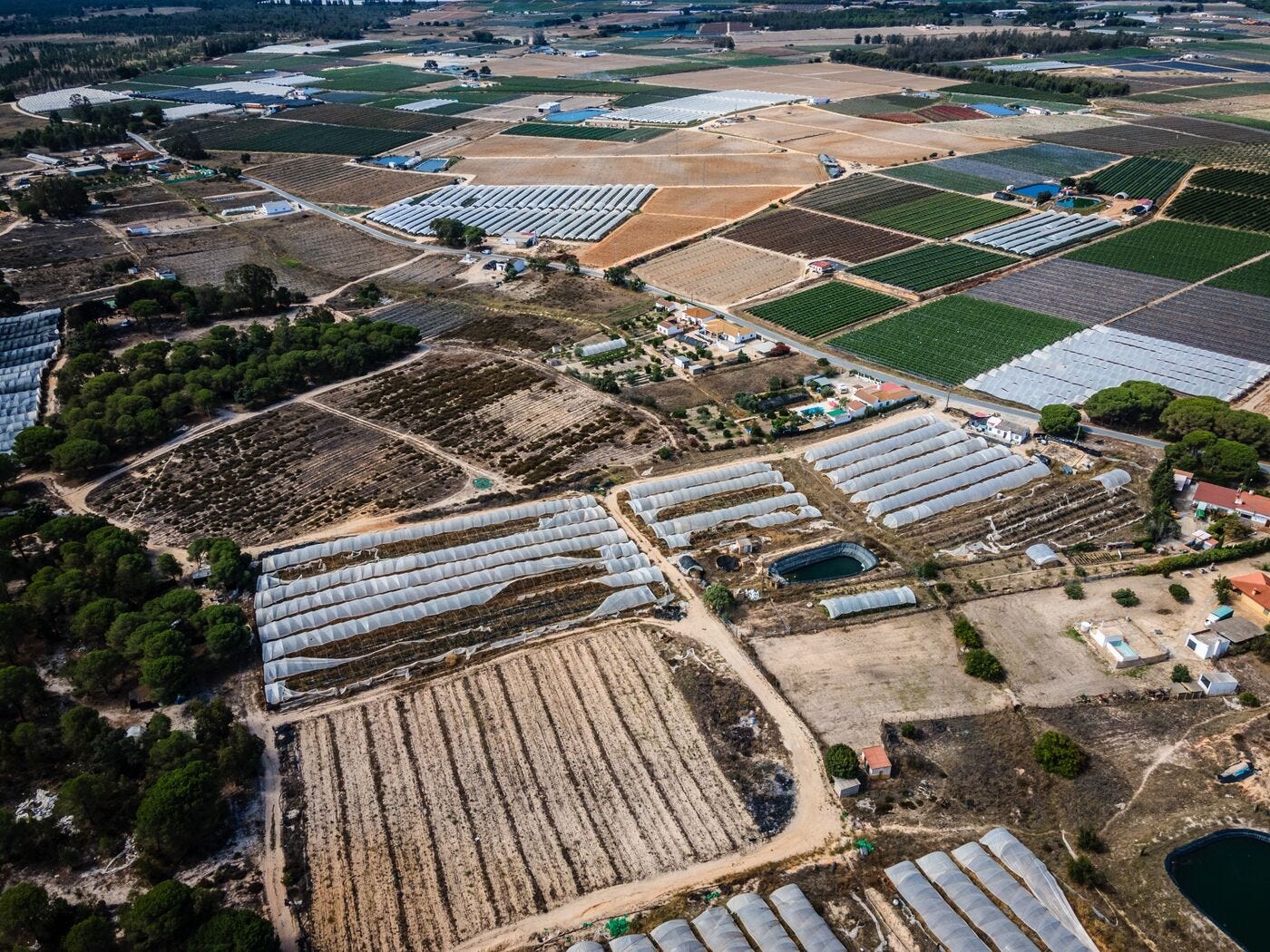 relates to Spain’s Climate Election Pits Water Police Against Angry Berry Farmers