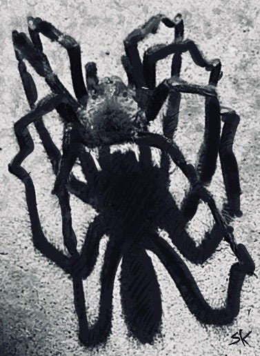 Photograph by Sherry Killam Arts of a large black tarantula mirrored by its shadow on a concrete driveway.