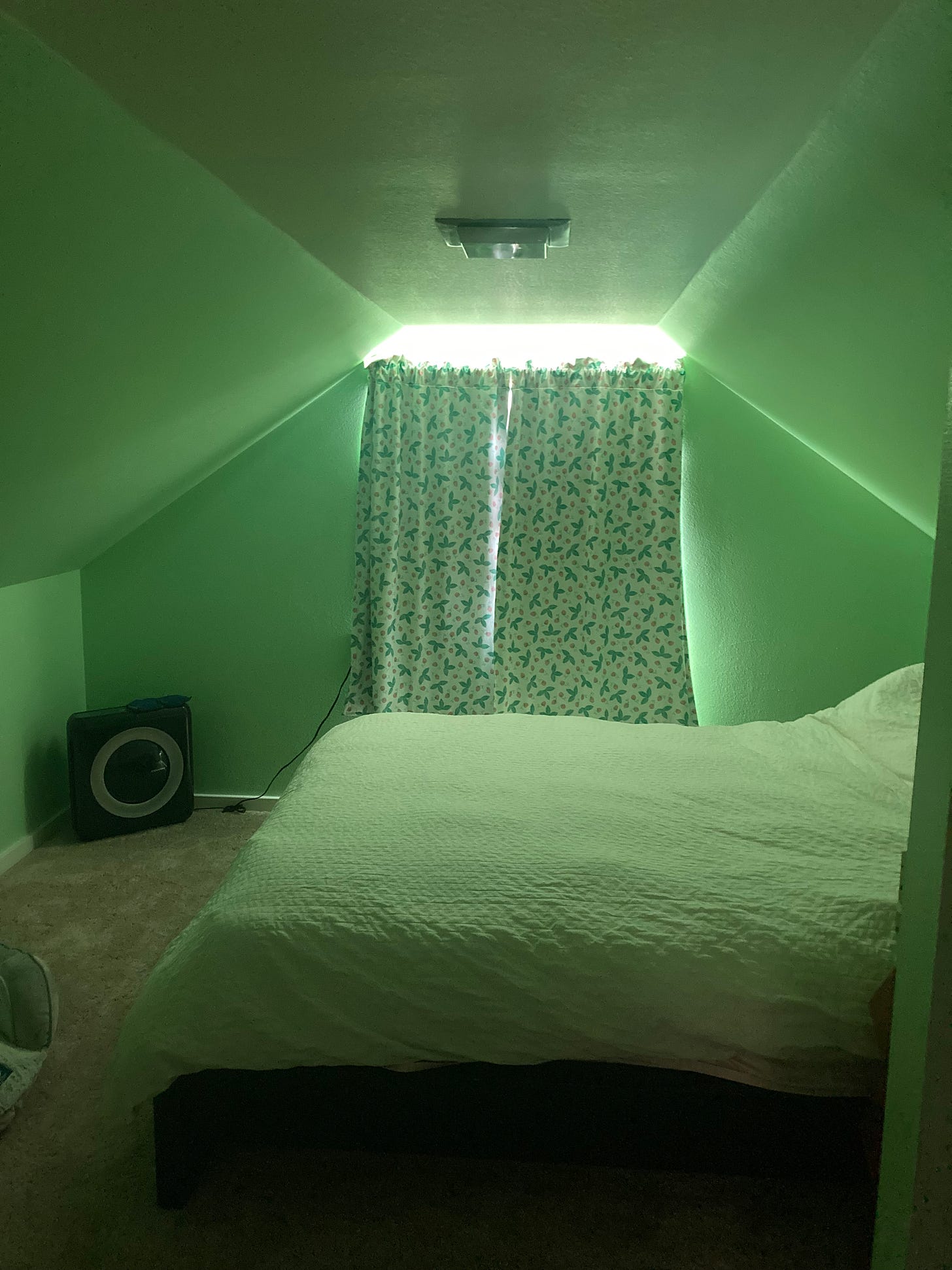 A small room with slanted ceilings and light green walls. There is a bed, an air purifier in the corner, and not much else.