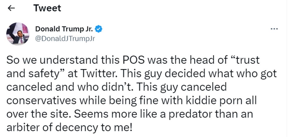 Trump Junior tweet: "So we understand this POS was the head of 'trust and safety' at Twitter. This guy decided what who got canceled and who didn't. This guy canceled conservatives while being fine with kiddie porn all over the site. Seems more like a predator than an arbiter of decency to me!"