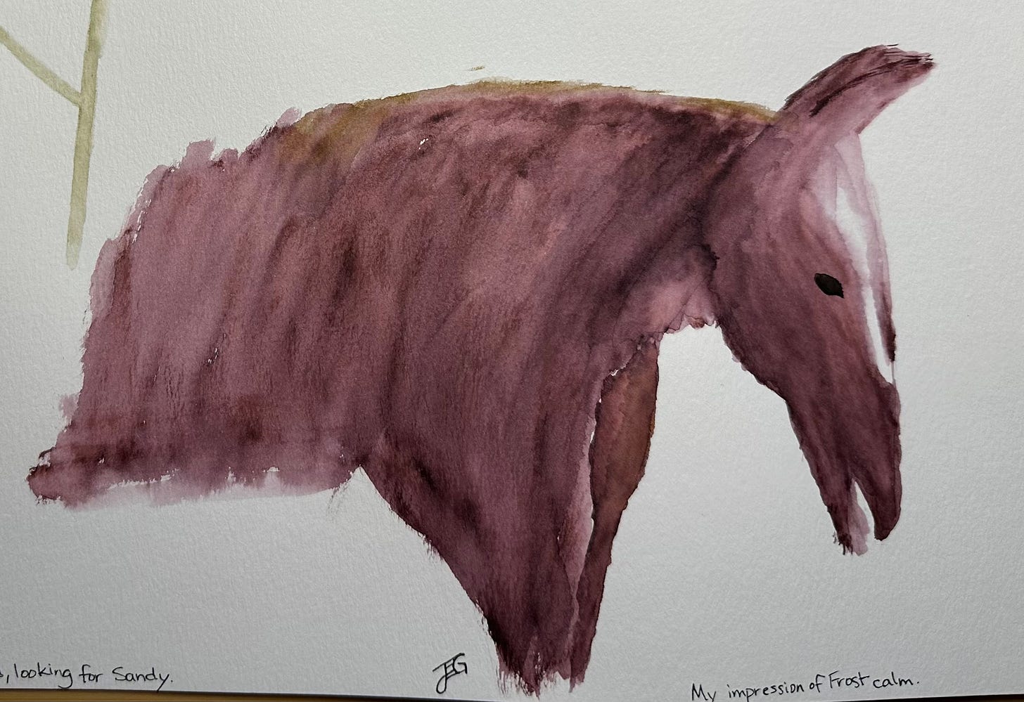 Watercolor of the front half of a brown horse with her head slightly down.
