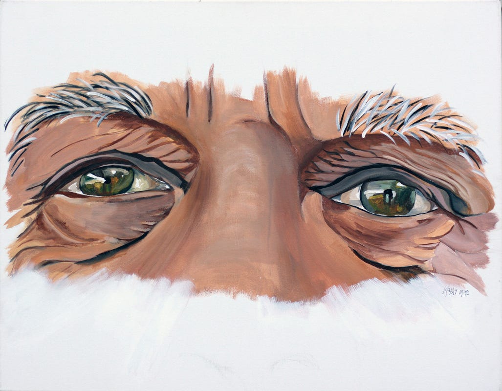 Eye Contact - Kathryn Ann Mays Art