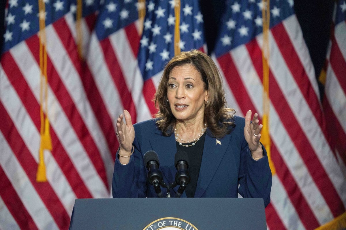 Kamala Harris standing in front of a Wisconsin audience, before many a backdrop of US-American flags hanging behind her. She wears a navy suit, a pin bearing the same flag, and a string of pearls. Her hands are outstretched, characteristic of her emphatic way of engaging a group.