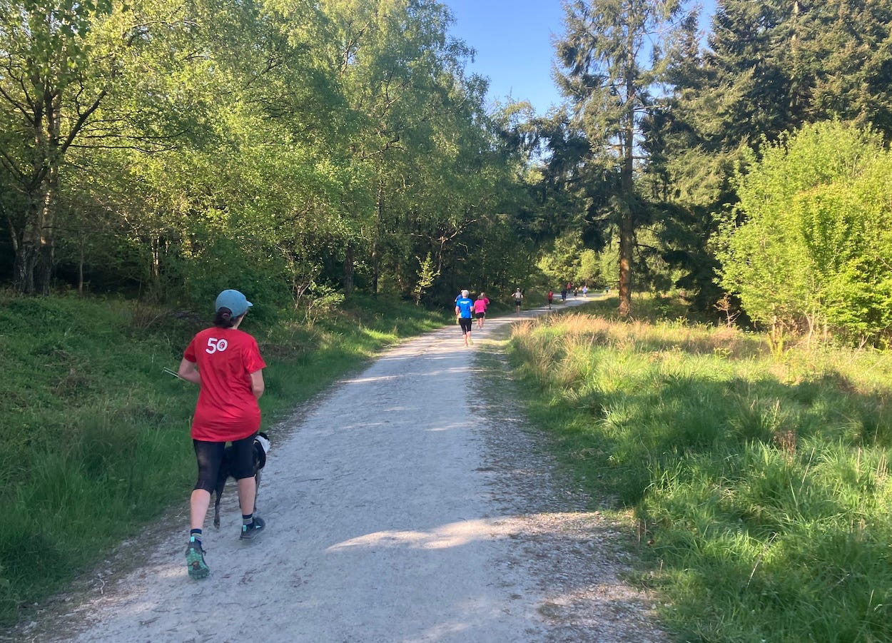 A runner with a dog on a wide path