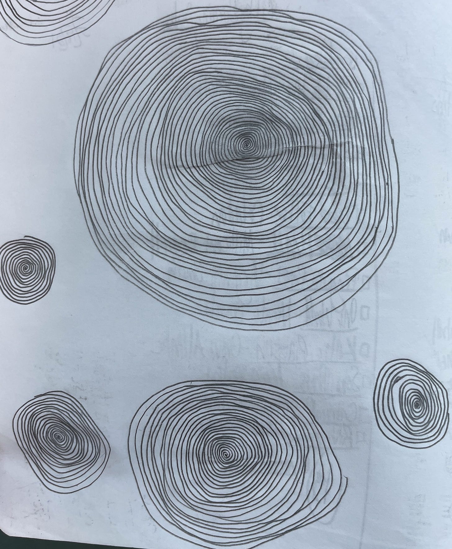 A photo of Kat’s notebook. The page is covered in hand drawn spirals of various diameters.