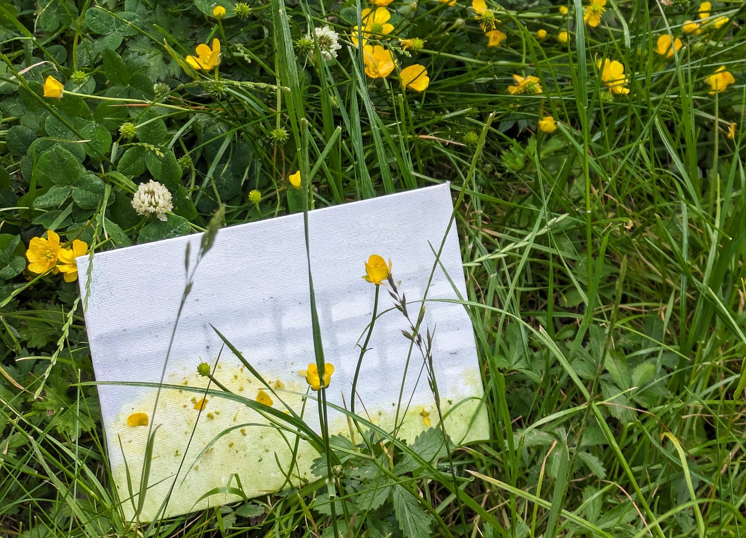 Growth Catalysts 2 DeQuincy Rachael B. Writes