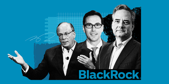 Inside BlackRock's Boys' Club