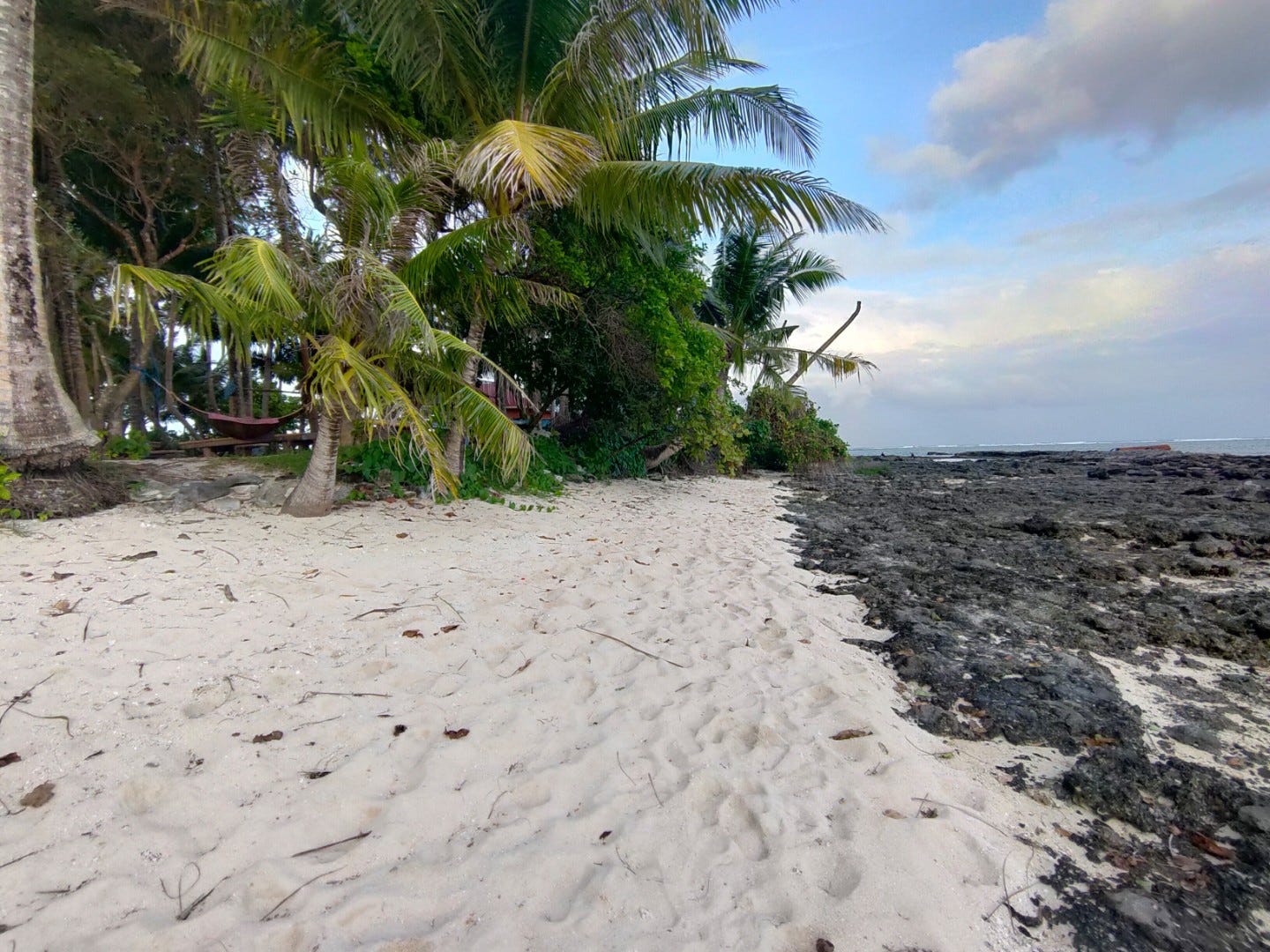A picture of a rocky shoreline that eventually cedes into white sand and palm trees.