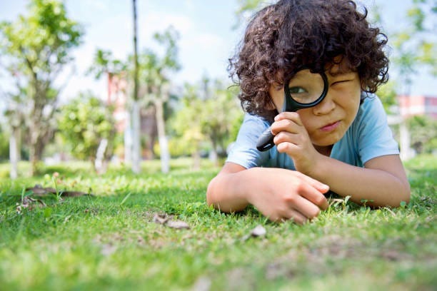 2,500+ Looking Through Magnifying Glass Stock Photos, Pictures &  Royalty-Free Images - iStock | Person looking through magnifying glass,  Woman looking through magnifying glass, Man looking through magnifying glass