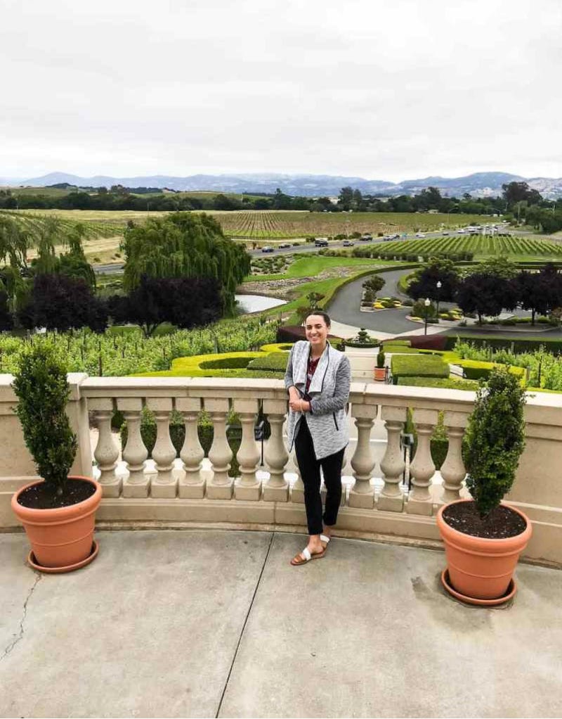 vineyard views at Domaine Carneros