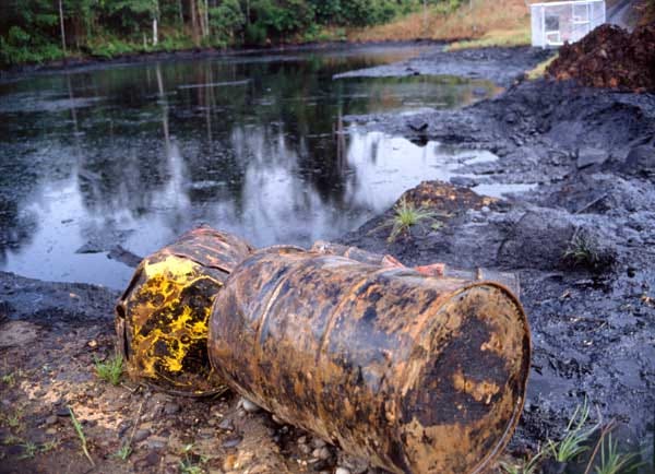 History of Oil generation in Ecuador | Andean Art Gallery