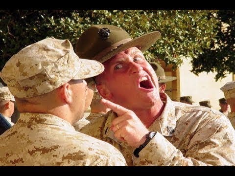 Army Drill Sergeants Launch Shark Attack On New Recruits - YouTube