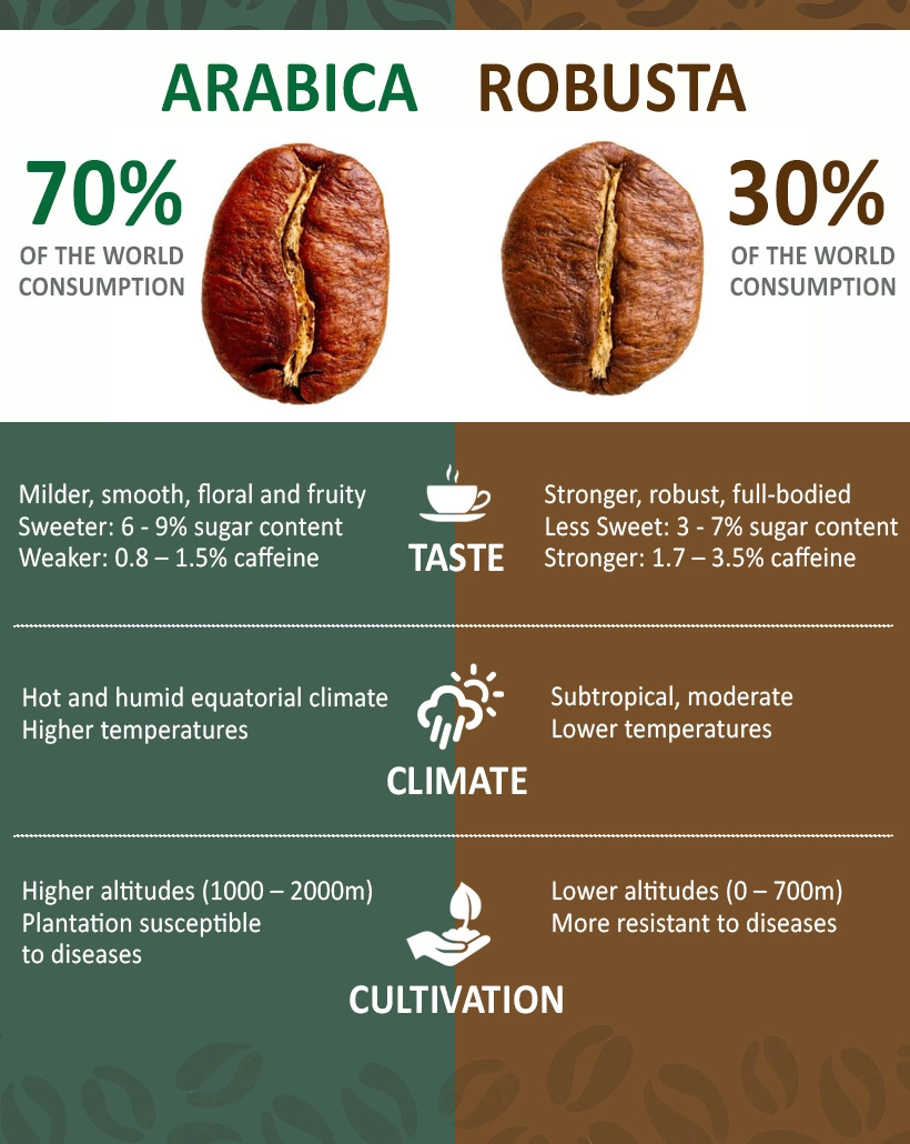 Arabica Coffee Beans vs. Robusta Coffee Beans: Unraveling ...