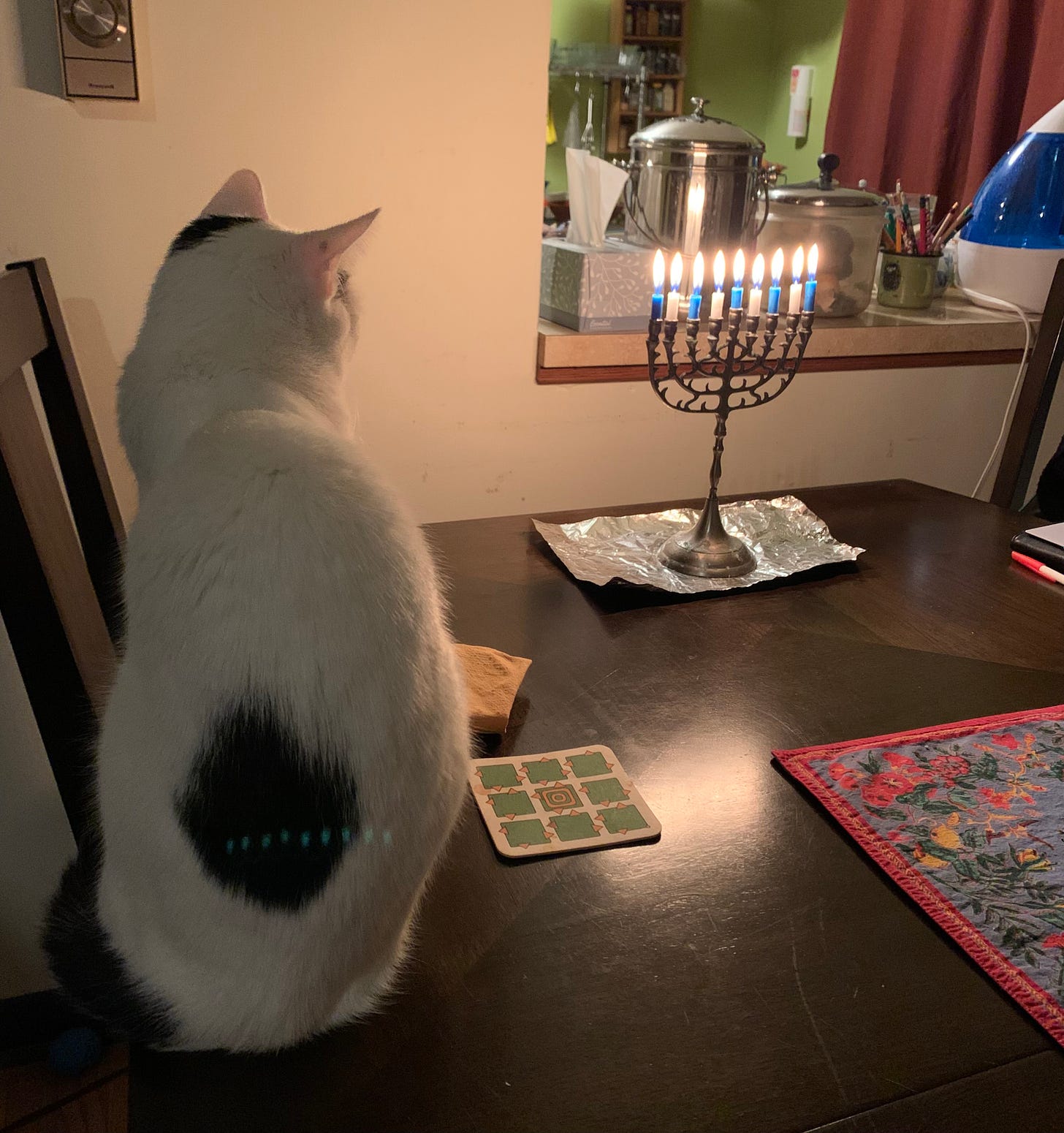 A white cat with black spots sits on a table with his back to the camera, watching a fully lit menorah.