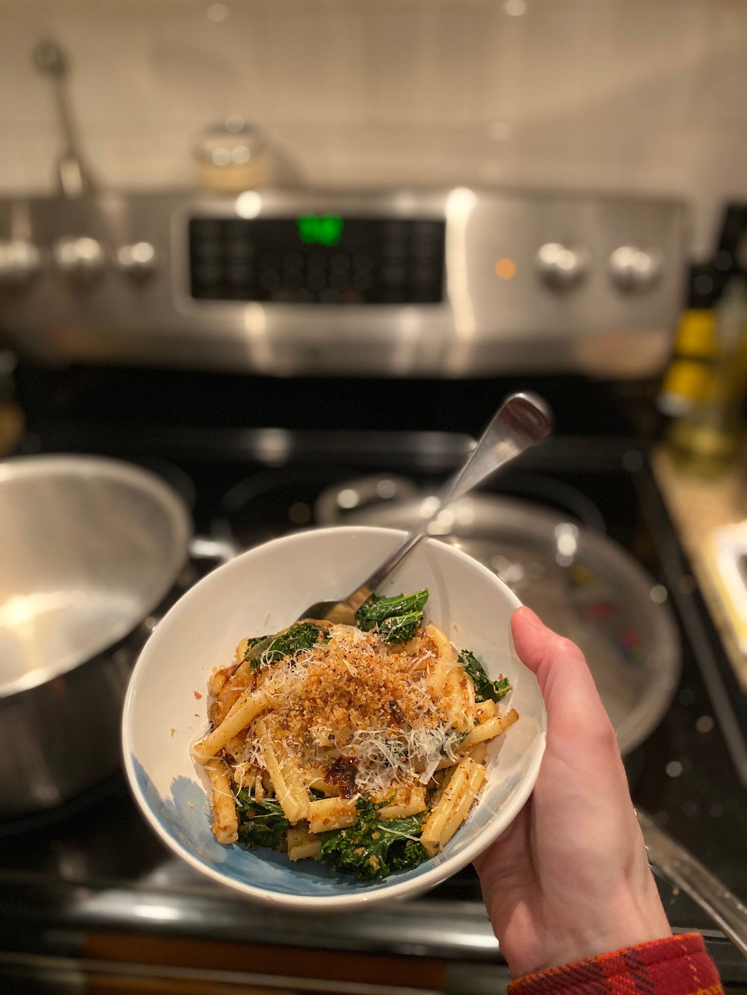 A white and blue bowl of casarecce with kale, breadcrumbs, and pecorino. In the background is the stove, still with the pot and pan I used to cook the pasta sitting on top of it.