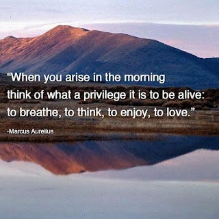 "When you arise in the morning think of what a privilege it is to be alive: to breathe, to think, to enjoy, to love." ~Marcus Aurelius