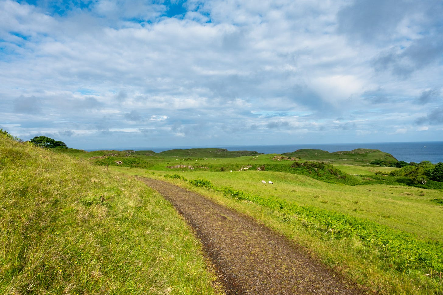 My route curved through farmland below the castle © Felicity Martin