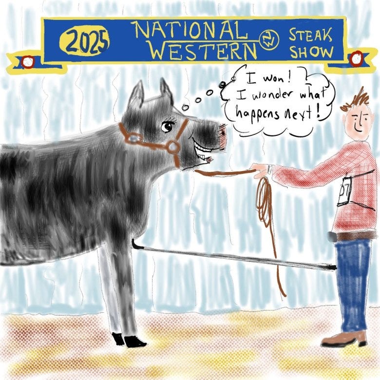 A cartoon drawing of a person showing a prize winning steer at the National Western Stock Show, though the banner reads "National Western Steak Show"