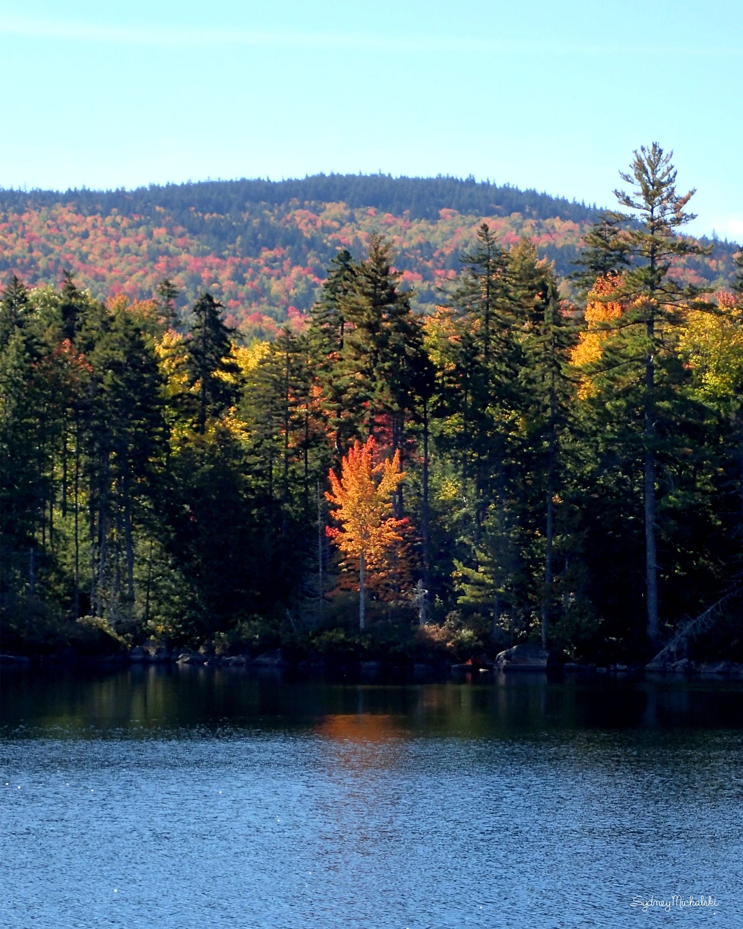 Fall foliage colors the shores of a blue lake.