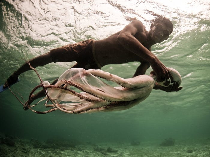 Bajau Laut: Photos of Nomads Who Spend Their Lives at Sea